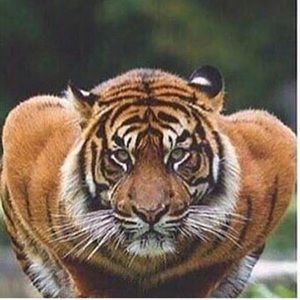 Meet your Posher, Jakob